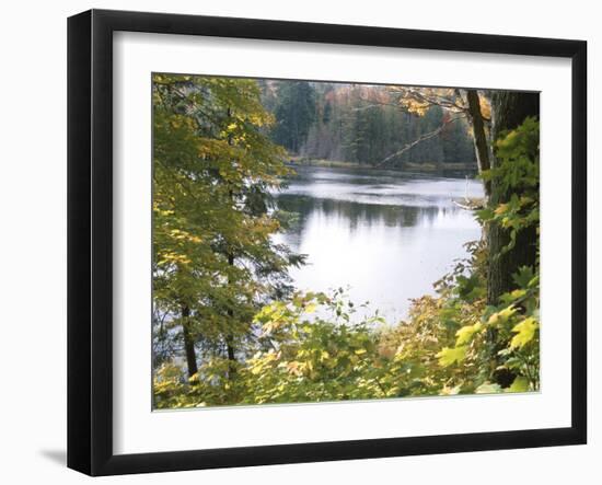 View of Lake Through Tree Branches-null-Framed Photographic Print