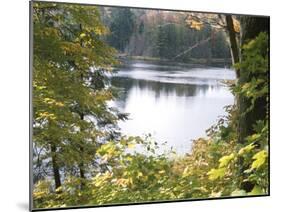 View of Lake Through Tree Branches-null-Mounted Photographic Print