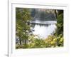 View of Lake Through Tree Branches-null-Framed Photographic Print