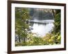 View of Lake Through Tree Branches-null-Framed Photographic Print