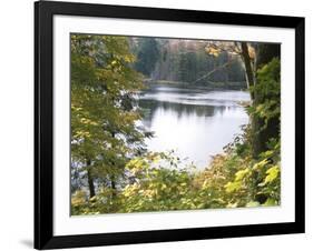 View of Lake Through Tree Branches-null-Framed Photographic Print