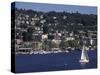 View of Lake Union and Capitol Hill Neighborhood, Seattle, Washington, USA-Connie Ricca-Stretched Canvas