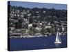 View of Lake Union and Capitol Hill Neighborhood, Seattle, Washington, USA-Connie Ricca-Stretched Canvas