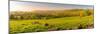 View of landscape toward Hathersage village during spring, Peak District National Park, Derbyshire-Frank Fell-Mounted Photographic Print