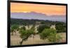 View of landscape with olive trees and mountains at dusk with farmhouse in landscape, Majorca, Bale-John Miller-Framed Photographic Print