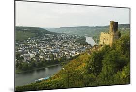 View of Landshut Castle Ruins-Jochen Schlenker-Mounted Photographic Print