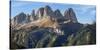 View of Langkofel (Sasso Lungo) from Val Contrin in the Marmolada mountain range in the Dolomites-Martin Zwick-Stretched Canvas