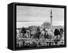 View of Large Mosque Against Skyline-null-Framed Stretched Canvas