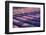 View of lavender field, Provence, France-Panoramic Images-Framed Photographic Print