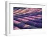 View of lavender field, Provence, France-Panoramic Images-Framed Photographic Print