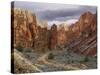 View of Leslie Gulch, Oregon, USA-Don Paulson-Stretched Canvas