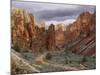 View of Leslie Gulch, Oregon, USA-Don Paulson-Mounted Photographic Print