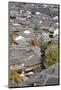 View of Lijiang, UNESCO World Heritage Site, Yunnan, China, Asia-Ian Trower-Mounted Photographic Print