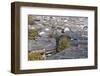 View of Lijiang, UNESCO World Heritage Site, Yunnan, China, Asia-Ian Trower-Framed Photographic Print