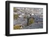 View of Lijiang, UNESCO World Heritage Site, Yunnan, China, Asia-Ian Trower-Framed Photographic Print