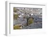 View of Lijiang, UNESCO World Heritage Site, Yunnan, China, Asia-Ian Trower-Framed Photographic Print