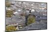 View of Lijiang, UNESCO World Heritage Site, Yunnan, China, Asia-Ian Trower-Mounted Photographic Print