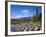 View of Lily Pond in Autumn, Kangamagus Highway, White Mountains, New Hampshire, USA-Massimo Borchi-Framed Photographic Print