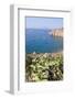 View of Lipari Town, Zimmari Gulf, Panarea, Sicily, Italy-Guido Cozzi-Framed Photographic Print