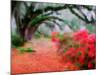 View of Live Oaks and Azaleas, Magnolia Plantation, Charleston, South Carolina-Adam Jones-Mounted Photographic Print