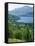 View of Loch Tay and Ben Lawers, Tayside, Scotland, United Kingdom-Adam Woolfitt-Framed Stretched Canvas