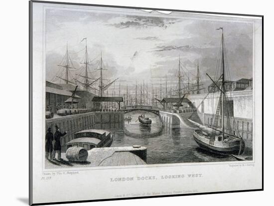 View of London Docks Looking West, Wapping, 1831-MJ Starling-Mounted Giclee Print