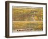 View Of Los Angeles, 1894-null-Framed Giclee Print