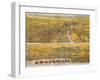 View Of Los Angeles, 1894-null-Framed Giclee Print