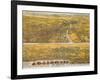 View Of Los Angeles, 1894-null-Framed Giclee Print