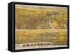 View Of Los Angeles, 1894-null-Framed Stretched Canvas