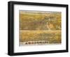 View Of Los Angeles, 1894-null-Framed Giclee Print