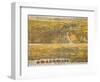 View Of Los Angeles, 1894-null-Framed Giclee Print