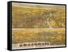 View Of Los Angeles, 1894-null-Framed Stretched Canvas