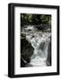 View of Lower Waterfall, Little Qualicum Falls Provincial Park, Little Qualicum River, British C...-null-Framed Photographic Print