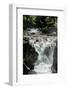 View of Lower Waterfall, Little Qualicum Falls Provincial Park, Little Qualicum River, British C...-null-Framed Photographic Print