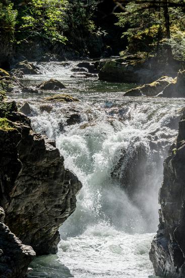 Premium Photographic Print, , large