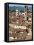 View of Lucca from Torre Guinigi, Lucca, Tuscany, Italy, Europe-Nico Tondini-Framed Stretched Canvas