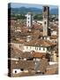 View of Lucca from Torre Guinigi, Lucca, Tuscany, Italy, Europe-Nico Tondini-Stretched Canvas