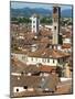 View of Lucca from Torre Guinigi, Lucca, Tuscany, Italy, Europe-Nico Tondini-Mounted Photographic Print