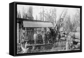 View of Lumberjacks at a Mill - McCloud, CA-Lantern Press-Framed Stretched Canvas