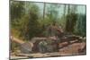 View of Lumberjacks, Logging Scene - Sterling, CA-Lantern Press-Mounted Art Print