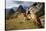 View of Machu Picchu in the Vilcanota Mountain Range in South-Central Peru-Sergio Ballivian-Stretched Canvas