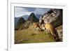 View of Machu Picchu in the Vilcanota Mountain Range in South-Central Peru-Sergio Ballivian-Framed Photographic Print