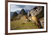 View of Machu Picchu in the Vilcanota Mountain Range in South-Central Peru-Sergio Ballivian-Framed Photographic Print