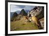 View of Machu Picchu in the Vilcanota Mountain Range in South-Central Peru-Sergio Ballivian-Framed Photographic Print