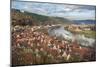View of Main River and Wertheim, Germany in Winter-Lisa S. Engelbrecht-Mounted Photographic Print