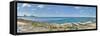 View of Malecon from Vedado to La Punta, Havana, Cuba-null-Framed Stretched Canvas