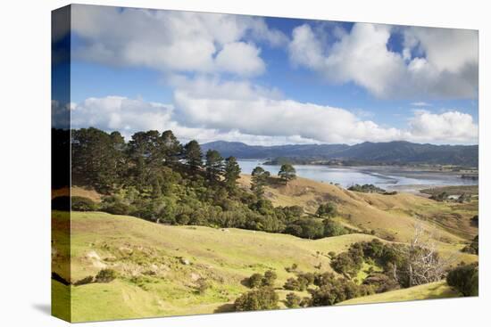 View of Manaia Harbour and Farmland-Ian-Stretched Canvas