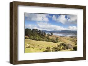 View of Manaia Harbour and Farmland-Ian-Framed Photographic Print