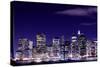 View of Manhattan Skyline from Brooklyn at Night, New York City-Zigi-Stretched Canvas